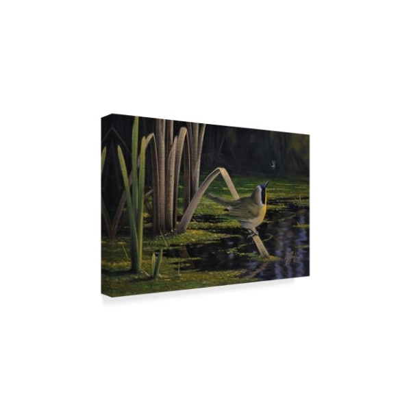 Wilhelm Goebel 'Yellow Throat' Canvas Art,30x47